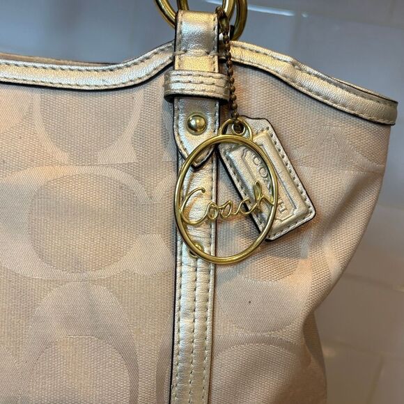 Coach Alexandra Chain Ombre Tote Bag - Picture 4 of 16